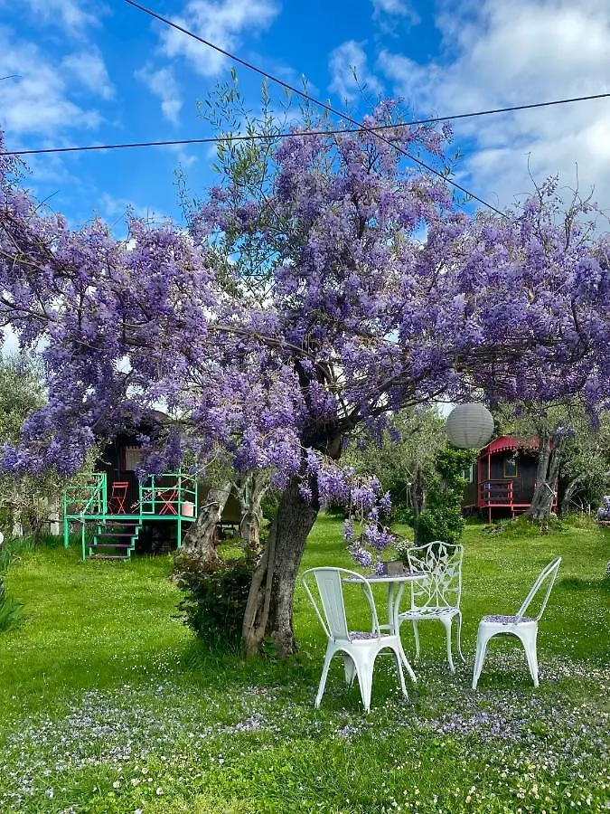 Azienda Agricola Della Mezzaluna Stiava 0*,  Italien