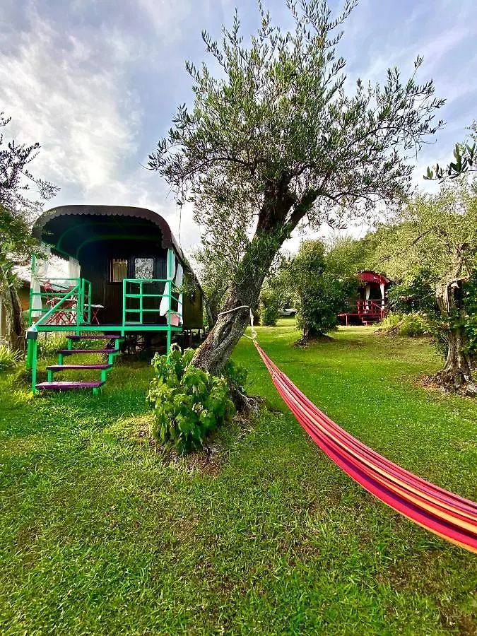 Azienda Agricola Della Mezzaluna Stiava
