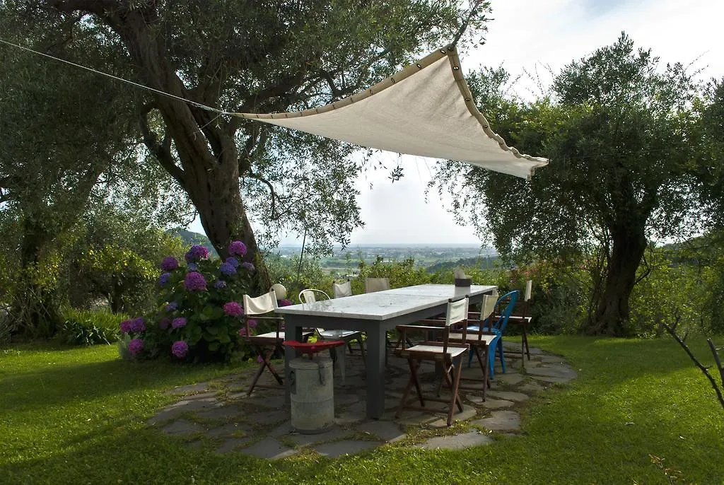 Azienda Agricola Della Mezzaluna Stiava