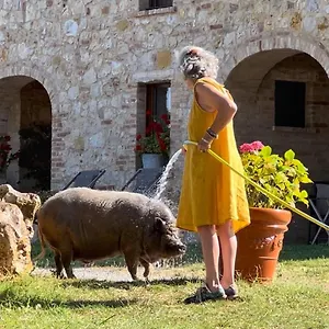 Sole Alloggio per agriturismo