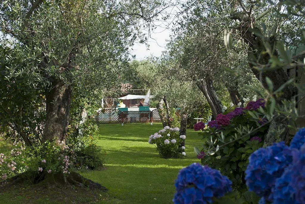 Azienda Agricola Della Mezzaluna Stiava 0*,